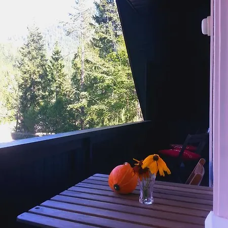 Apartman Martinov Dom Kranjska Gora