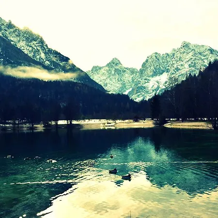 Martinov Dom Apartman Kranjska Gora
