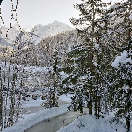Apartman Martinov Dom Kranjska Gora